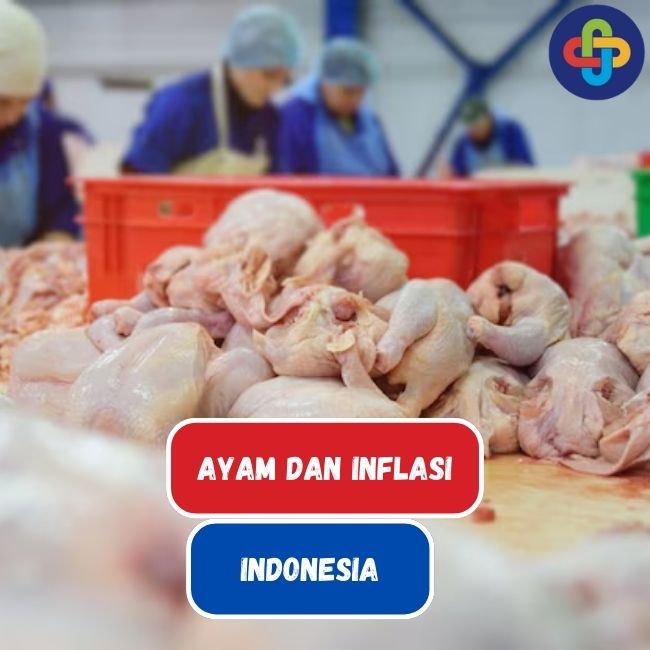 5 Alasan Kenapa Ayam Turut Menyumbang Inflasi di Indonesia